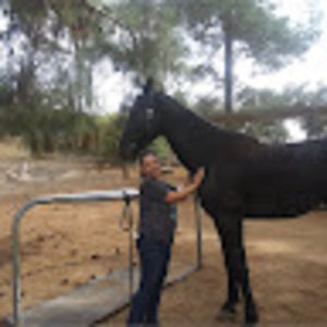 Meet your Posher, Shani